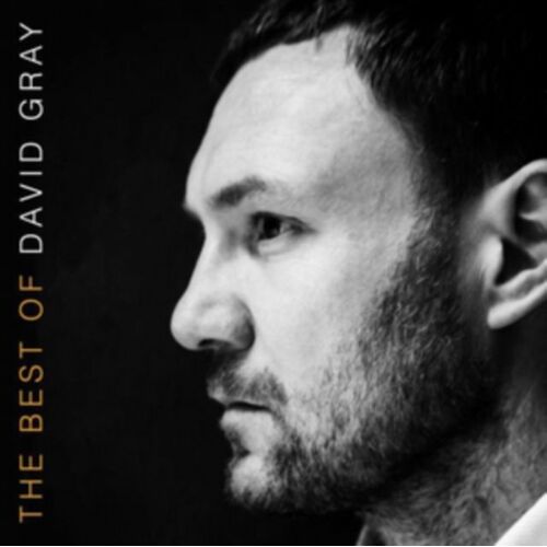 Best Of David Gray