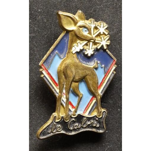 Insigne Ancien Ski - Chamois De France En Bronze - Objet De Collection Vintage - Occasion Avec Marques D'usage