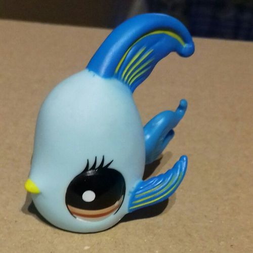 Petshop 1378 Poisson Scalaire