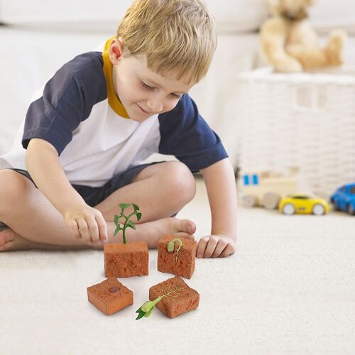 Mardi Gras Cadeaux 4PC Cycle De Croissance Des Plantes Figurines Jouet Maison Décorer Préscolaire Éducatif Arcti Cadeau Pour Les Enfants 243895