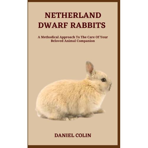 Netherland Dwarf Rabbits: A Methodical Approach To The Care Of Your Beloved Animal Companion