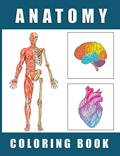 Anatomy Coloring Book: Human Body Anatomy And Physiology Coloring Book - Human Body Organs Coloring Book!