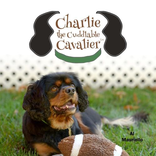 Charlie The Cuddlable Cavalier