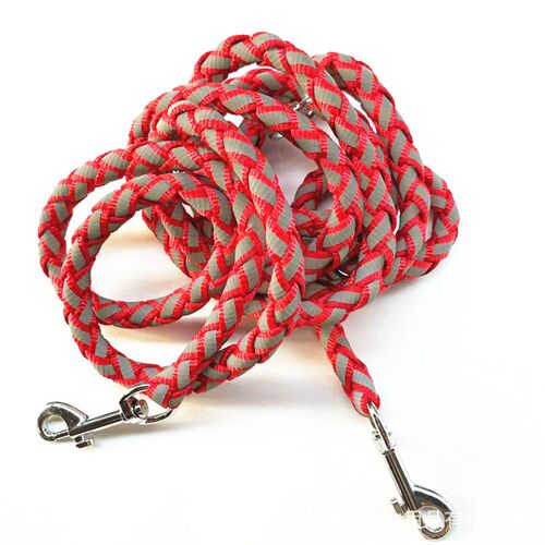 Laisse Réglable En Nylon Durable Pour Chien, Course À Pied, Baignade, Coulée, Entraînement, Chiot, 2.5m