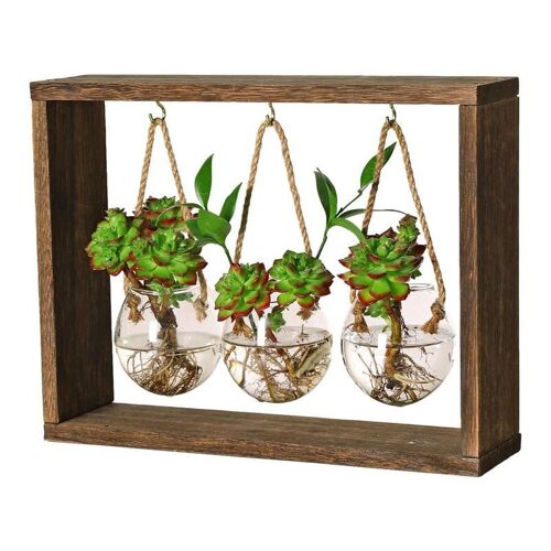 Vase à fleurs en verre transparent avec cadre en bois, tube à essai, terrarium d'art, ornements de table de bonsaï, vases décoratifs pour la maison et le jardin