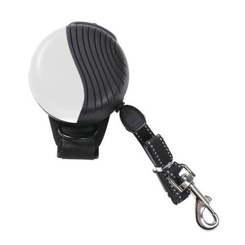 Laisse Rétractable Pour Chien, Extensible, Ceinture De Poignet, Mains Libres, Pour Chiots, Grands, Moyens Et Petits, Chats