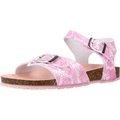 Pablosky 406170p Colour Rose