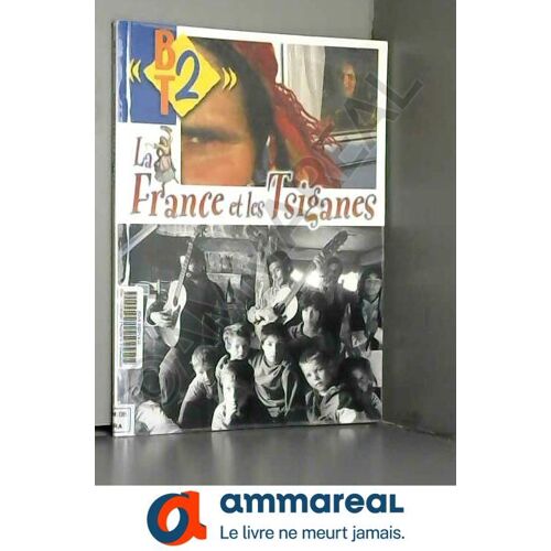 La France Et Les Tsiganes N87
