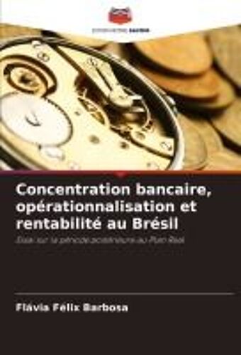 Concentration Bancaire, Opérationnalisation Et Rentabilité Au Brésil