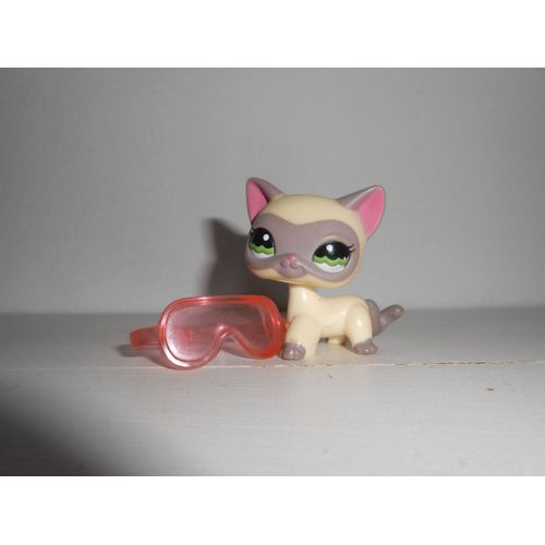 Petshop Chat Européen N° 1116 + Lunette