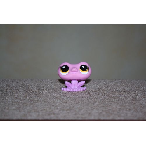 Petshop Grenouille 3552