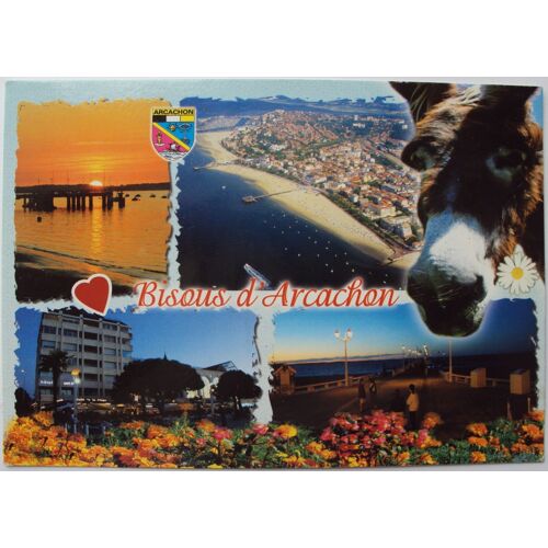Arcachon . Gironde . Carte Multi-Vues Avec Écusson & Tête D'ane . ( Au Verso Timbre Le Cassis . Bourgogne . 2015 )