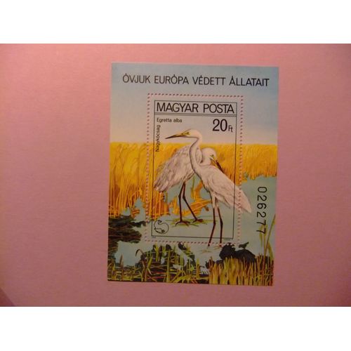  Hungria  Hongrie Magyar Posta 1980 Egretta Alba Faune Oiseaux Oiseaux Yvert Bl 150 ** Mnh