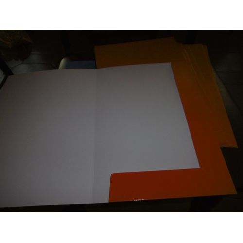 Chemises 2 Rabats Carte 250grs Flash Chronolux Cheval Ordex 40700 Paquet De 10 Rouge