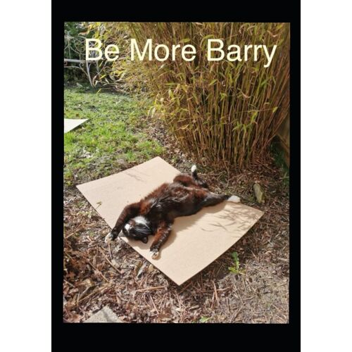 Be More Barry: The Cat Who Just Doesn't Worry About Anything