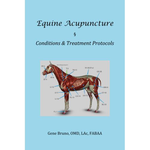 Equine Acupuncture - Conditions & Treatment Protocols