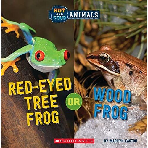 Red-Eyed Tree Frog Or Wood Frog (Hot And Cold Animals)