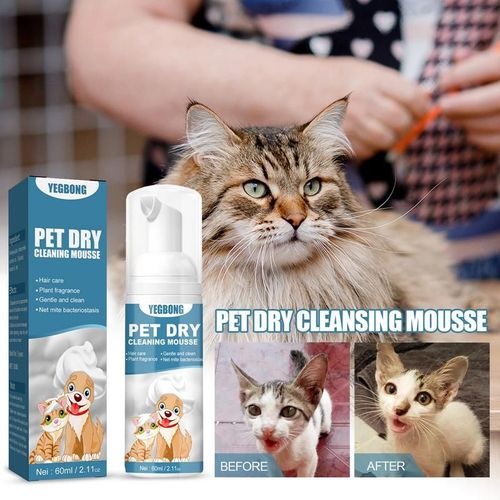Shampooing Sans Eau Pour Animaux De Compagnie, Mousse Nettoyante Pour Le Corps, Chiens Et Chats, Élimination Des Odeurs, Camomille, Huile Amp, Chèvrefeuille, Livres Secs, Cheville, 60ml