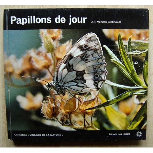 Papillons De Jour