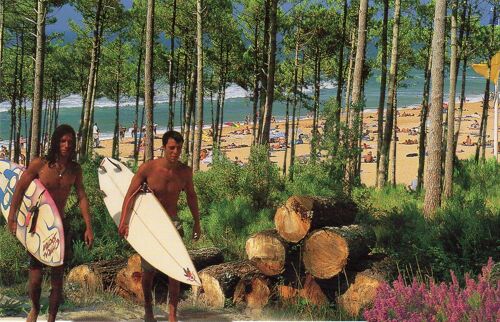 Carte Postale Les Landes - 40 -