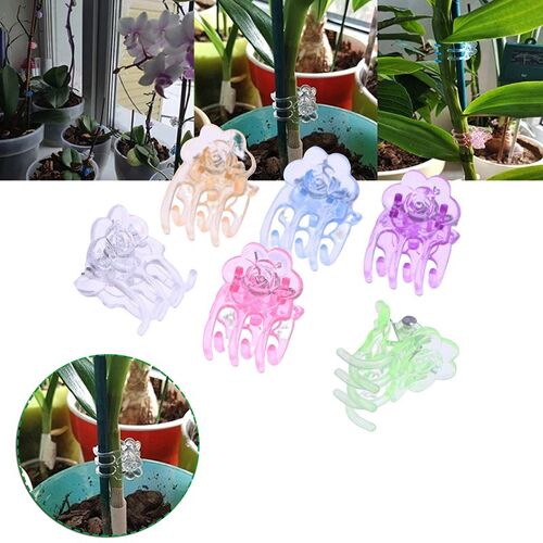 Clips Spéciaux En Plastique Pour Orchidées, 60 Pièces/Paquet, 6 Couleurs, Support De Vigne Pour Plante D'orchidées
