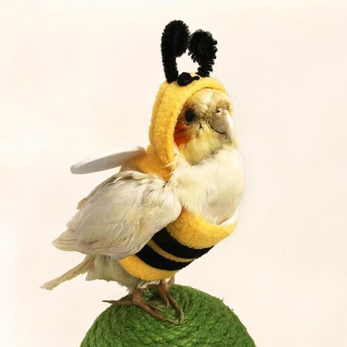 Chapeau À Capuche En Forme D'abeille Pour Animaux De Compagnie, Tenue Volante, Costume Pour Perroquets, Cosplay, Chaud, Hiver, Accessoires Pour Perruches, P6f5