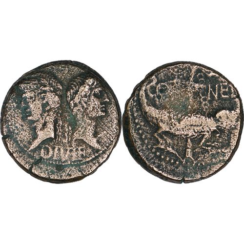 Rome - Dupondius - Auguste Et Agrippa - Col Nem - Auguste Lauré, Palmier À D. - 12.58 G. - Ric.158 - 24-090