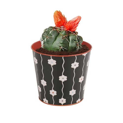 Vase en métal, ornement artisanal, décoration de maison, finition galvanisée, balcon, lait, salon, rustique, bureau, seau de fleurs