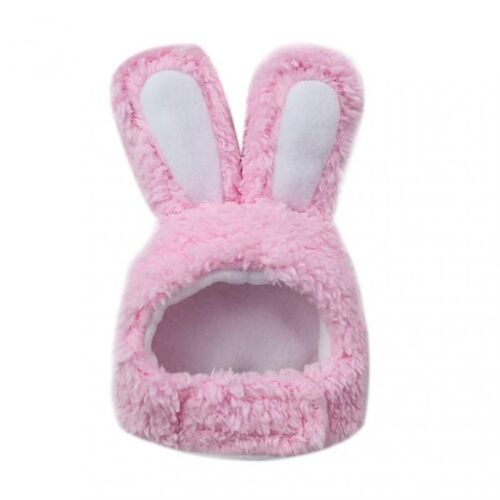 Équipement De Sauna Pour Chat Mignon, Chapeau De Traînée De Lapin, Vêtements De Sauna Pour Chien, Costume De Performance, Accessoires De Photographie, Chapeau Drôle Pour Animaux De Compagnie, Oreilles