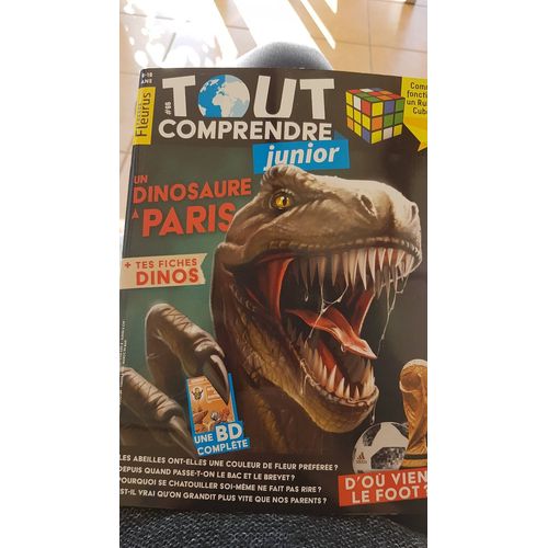 Tout Comprendre Junior 66
