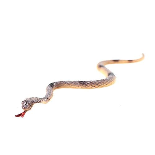 Figurines De Reptiles Et De Serpent, 12 Pièces/Ensemble, Simulation D'Animaux, Jouets Modèles, Blagues D'Halloween, Collection Éducative Pour Enfants, Cadeau Y4ud