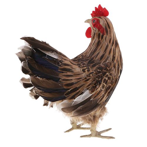 Grand Jouet De Poule De Vie Agricole Artisanal, Figurine En Pvc, Plume En Pâte