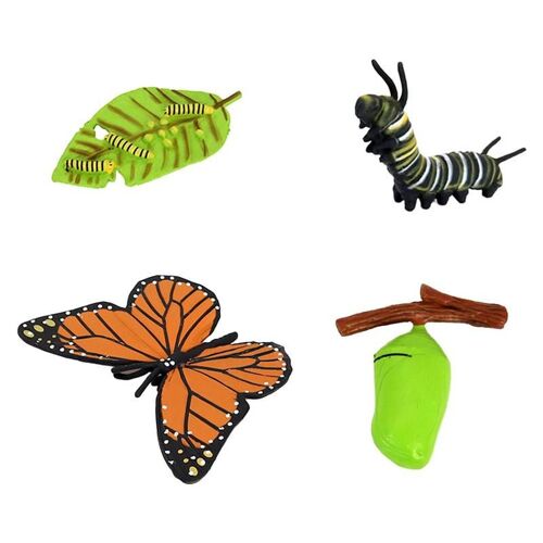 Ensemble De Figurines Du Cycle De Croissance Des Animaux, Jouet Éducatif Pour Enfants, 1/4 Pièces, Coccinelle, Araignée, Tartule