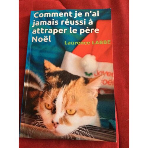 Comment Je N'ai Jamais Réussi À Attraper Le Père Noel 