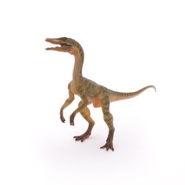 LES DINOSAURES Compsognathus