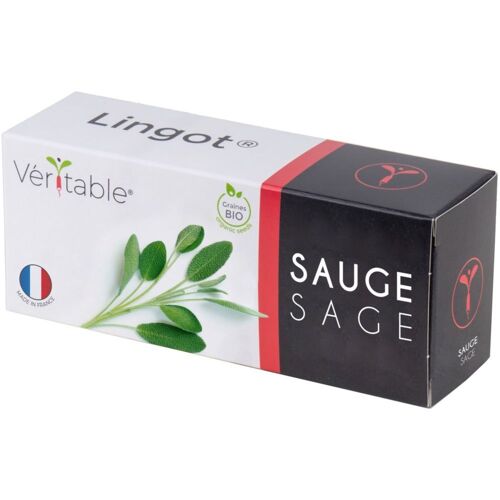 Lingot Sauge Bio Pour Potager Véritable
