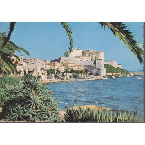 Carte Postale De Calvi (Corse)  Les Quais Et La Citadelle