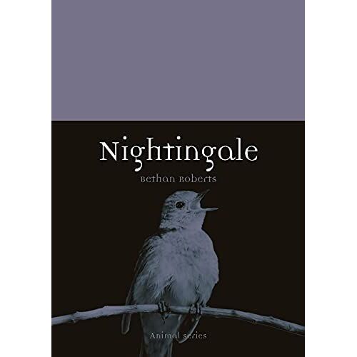 Nightingale