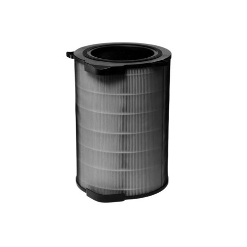 Filtre Electrolux H13 et charbon EFDCLN6E