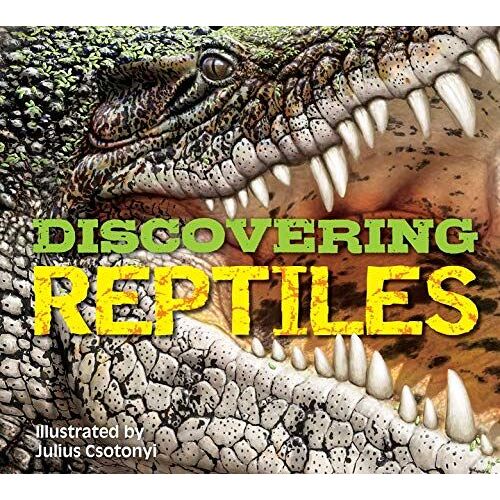 Discovering Reptiles