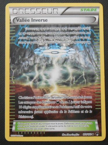 Pokémon - 110/123 - Xy - Rupture Turbo - Vallée Inverse - Peu Commune
