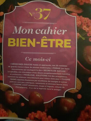 Mon Cahier Bien-Être N° 37 (16 Pages)
