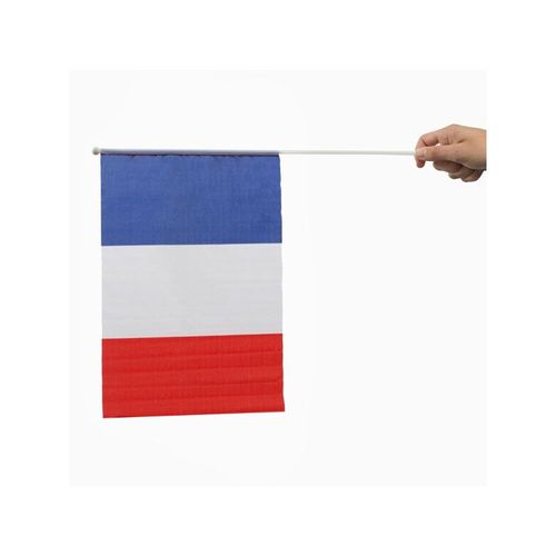 Drapeau De La France Avec Manche (46 X 30 Cm)