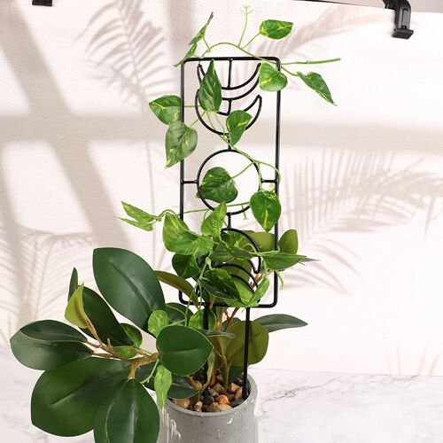 Cadre De Plantes D'intérieur En Latex, Plantes Grimpantes, Petit Jardin, Cadre De Support, Vigne Grimpante Sur La Lune, 1 Pièce
