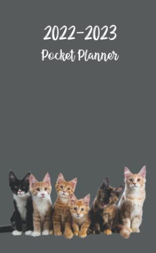 2022-2023 Pocket Planner: Mini Monthly Organizer Come With 2 Year Calendar Holidays And Note Pages -Small On The Go Size For Purse Handbag -Cats Grey Cover