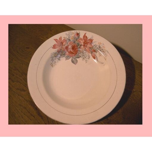 Lot de 4 assiettes terre de fer Digoin Sarreguemines