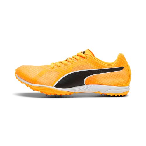 Crampons D¿athlétisme Evospeed Haraka 8