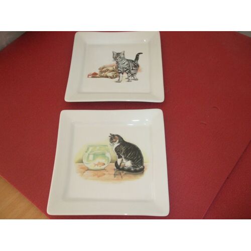 Assiettes Carres Chats