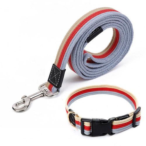 Laisse À Crochet En Métal Léger Et Durable Pour Animaux De Compagnie, Laisse De Traction Avec Collier, Fournitures Pour Chiens Et Chiots, 1 Ensemble