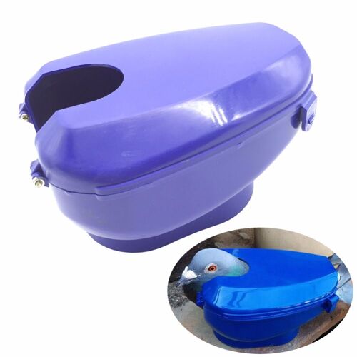 Boîte De Rangement Pour Pigeon Bleu, Boîte De Rangement Pour Pigeons, Dispositif De Médicaments, Équipement Pour Rajeunissement, Livraison Gratuite